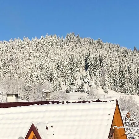 карпат Apartamento Verkhovyna