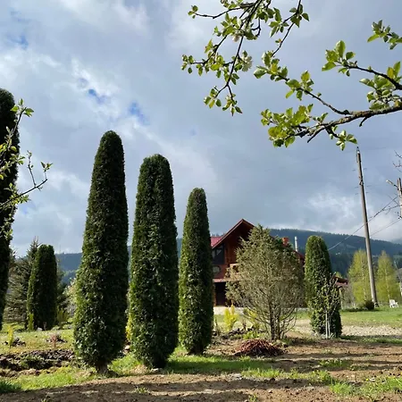 карпат Apartamento